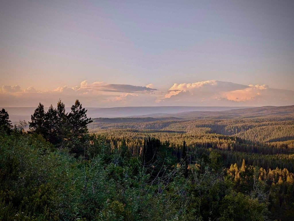 Welcome to the Modern Frontier: What It Means to Live Wild &&nbsp;Rooted