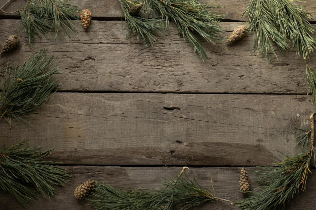 Evergreen Magic: Decorating with Cedar & Spruce, Pine & Juniper