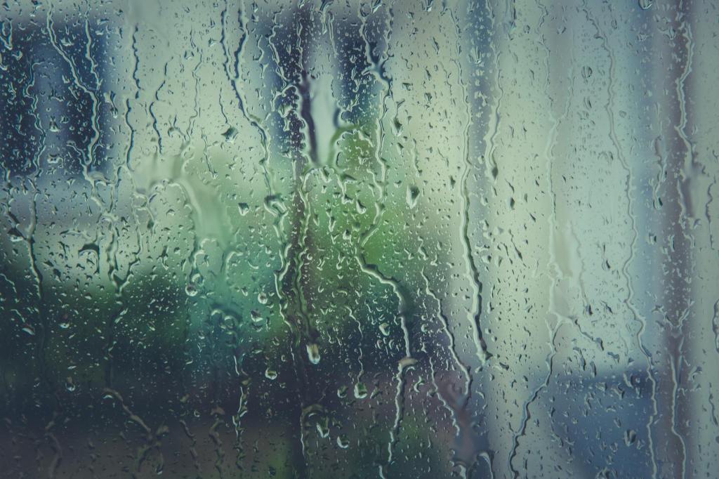 Rainy Days, Cozy Ways: Indoor Tasks for Wet&nbsp;Spring